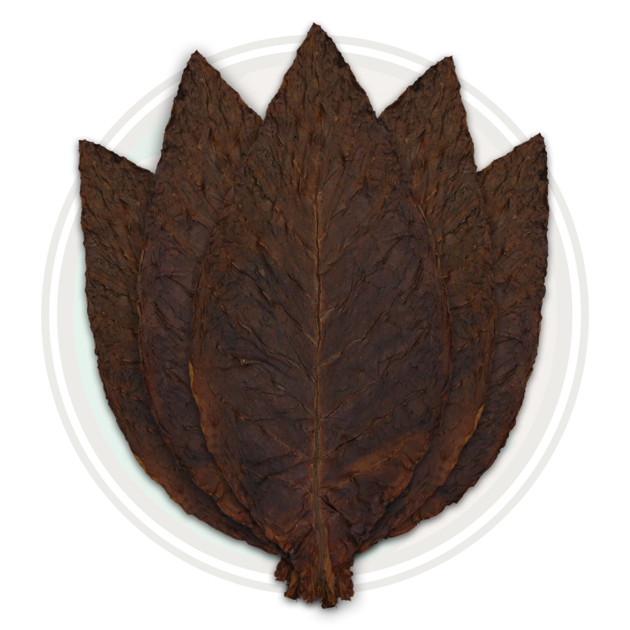 Light Fire Cured Virginia Whole Tobacco Leaf